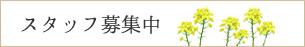スタッフ募集中