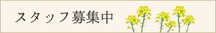 スタッフ募集中