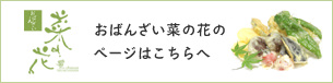 おばんざい菜の花のサイトはこちら