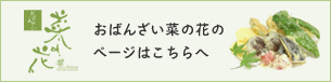 おばんざい菜の花のサイトはこちら