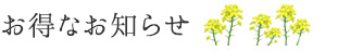 お得なお知らせ